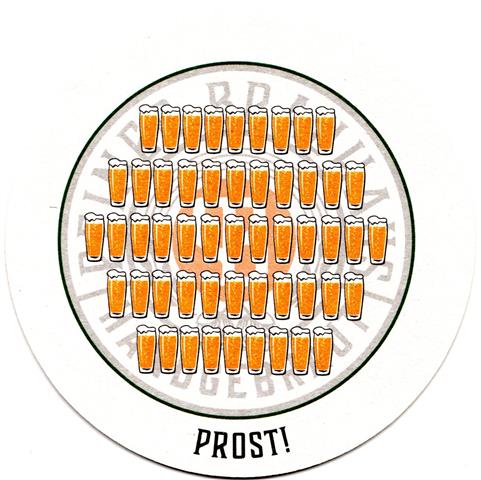 peine pe-ni peiner rund 2b (215-prost)